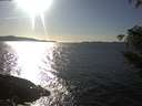 ./images/koeye/fitz-hugh/20210310/fitz-hugh20210310_160001.jpg