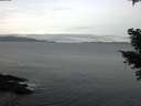 ./images/koeye/fitz-hugh/20210311/fitz-hugh20210311_080001.jpg