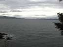./images/koeye/fitz-hugh/20210311/fitz-hugh20210311_140001.jpg