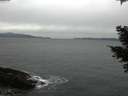 ./images/koeye/fitz-hugh/20210311/fitz-hugh20210311_160001.jpg