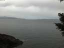 ./images/koeye/fitz-hugh/20210311/fitz-hugh20210311_180002.jpg