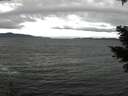 ./images/koeye/fitz-hugh/20210312/fitz-hugh20210312_120002.jpg