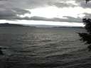 ./images/koeye/fitz-hugh/20210312/fitz-hugh20210312_140001.jpg