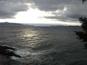 ./images/koeye/fitz-hugh/20210312/fitz-hugh20210312_160002.jpg