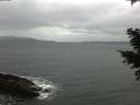 ./images/koeye/fitz-hugh/20210313/fitz-hugh20210313_080001.jpg