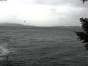 ./images/koeye/fitz-hugh/20210313/fitz-hugh20210313_120002.jpg