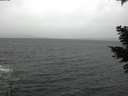 ./images/koeye/fitz-hugh/20210313/fitz-hugh20210313_140001.jpg