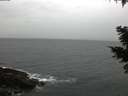 ./images/koeye/fitz-hugh/20210313/fitz-hugh20210313_180002.jpg