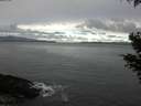 ./images/koeye/fitz-hugh/20210314/fitz-hugh20210314_100001.jpg
