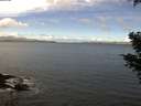 ./images/koeye/fitz-hugh/20210314/fitz-hugh20210314_120002.jpg