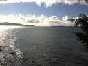 ./images/koeye/fitz-hugh/20210314/fitz-hugh20210314_160001.jpg