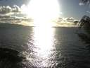 ./images/koeye/fitz-hugh/20210314/fitz-hugh20210314_180002.jpg