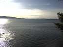 ./images/koeye/fitz-hugh/20210315/fitz-hugh20210315_160001.jpg