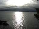 ./images/koeye/fitz-hugh/20210315/fitz-hugh20210315_180002.jpg