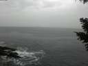 ./images/koeye/fitz-hugh/20210318/fitz-hugh20210318_140001.jpg