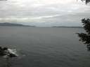 ./images/koeye/fitz-hugh/20210320/fitz-hugh20210320_080001.jpg