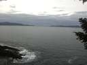 ./images/koeye/fitz-hugh/20210320/fitz-hugh20210320_100001.jpg