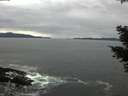 ./images/koeye/fitz-hugh/20210320/fitz-hugh20210320_160001.jpg