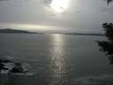 ./images/koeye/fitz-hugh/20210320/fitz-hugh20210320_180002.jpg