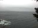 ./images/koeye/fitz-hugh/20210321/fitz-hugh20210321_080001.jpg