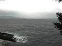./images/koeye/fitz-hugh/20210321/fitz-hugh20210321_120002.jpg