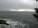 ./images/koeye/fitz-hugh/20210321/fitz-hugh20210321_160002.jpg