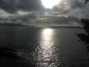 ./images/koeye/fitz-hugh/20210321/fitz-hugh20210321_180002.jpg