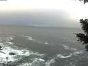 ./images/koeye/fitz-hugh/20210322/fitz-hugh20210322_080001.jpg
