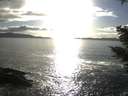 ./images/koeye/fitz-hugh/20210322/fitz-hugh20210322_180002.jpg