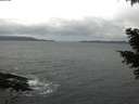 ./images/koeye/fitz-hugh/20210323/fitz-hugh20210323_120001.jpg