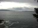 ./images/koeye/fitz-hugh/20210324/fitz-hugh20210324_120001.jpg