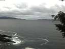 ./images/koeye/fitz-hugh/20210324/fitz-hugh20210324_140001.jpg