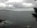 ./images/koeye/fitz-hugh/20210326/fitz-hugh20210326_140001.jpg