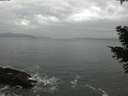 ./images/koeye/fitz-hugh/20210326/fitz-hugh20210326_160002.jpg