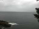 ./images/koeye/fitz-hugh/20210327/fitz-hugh20210327_080001.jpg