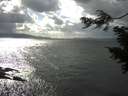 ./images/koeye/fitz-hugh/20210328/fitz-hugh20210328_160002.jpg
