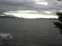 ./images/koeye/fitz-hugh/20210330/fitz-hugh20210330_160002.jpg