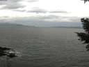 ./images/koeye/fitz-hugh/20210331/fitz-hugh20210331_140001.jpg