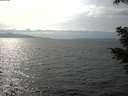 ./images/koeye/fitz-hugh/20210331/fitz-hugh20210331_160002.jpg