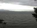 ./images/koeye/fitz-hugh/20210331/fitz-hugh20210331_180002.jpg