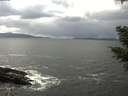./images/koeye/fitz-hugh/20210401/fitz-hugh20210401_140001.jpg