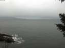 ./images/koeye/fitz-hugh/20210402/fitz-hugh20210402_080001.jpg