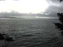 ./images/koeye/fitz-hugh/20210402/fitz-hugh20210402_160002.jpg