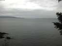./images/koeye/fitz-hugh/20210403/fitz-hugh20210403_080001.jpg