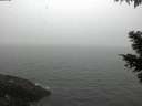 ./images/koeye/fitz-hugh/20210403/fitz-hugh20210403_120002.jpg