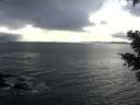 ./images/koeye/fitz-hugh/20210403/fitz-hugh20210403_180001.jpg