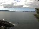 ./images/koeye/fitz-hugh/20210404/fitz-hugh20210404_140001.jpg