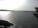 ./images/koeye/fitz-hugh/20210405/fitz-hugh20210405_160002.jpg
