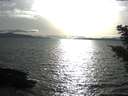 ./images/koeye/fitz-hugh/20210405/fitz-hugh20210405_180001.jpg
