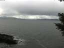 ./images/koeye/fitz-hugh/20210406/fitz-hugh20210406_140002.jpg